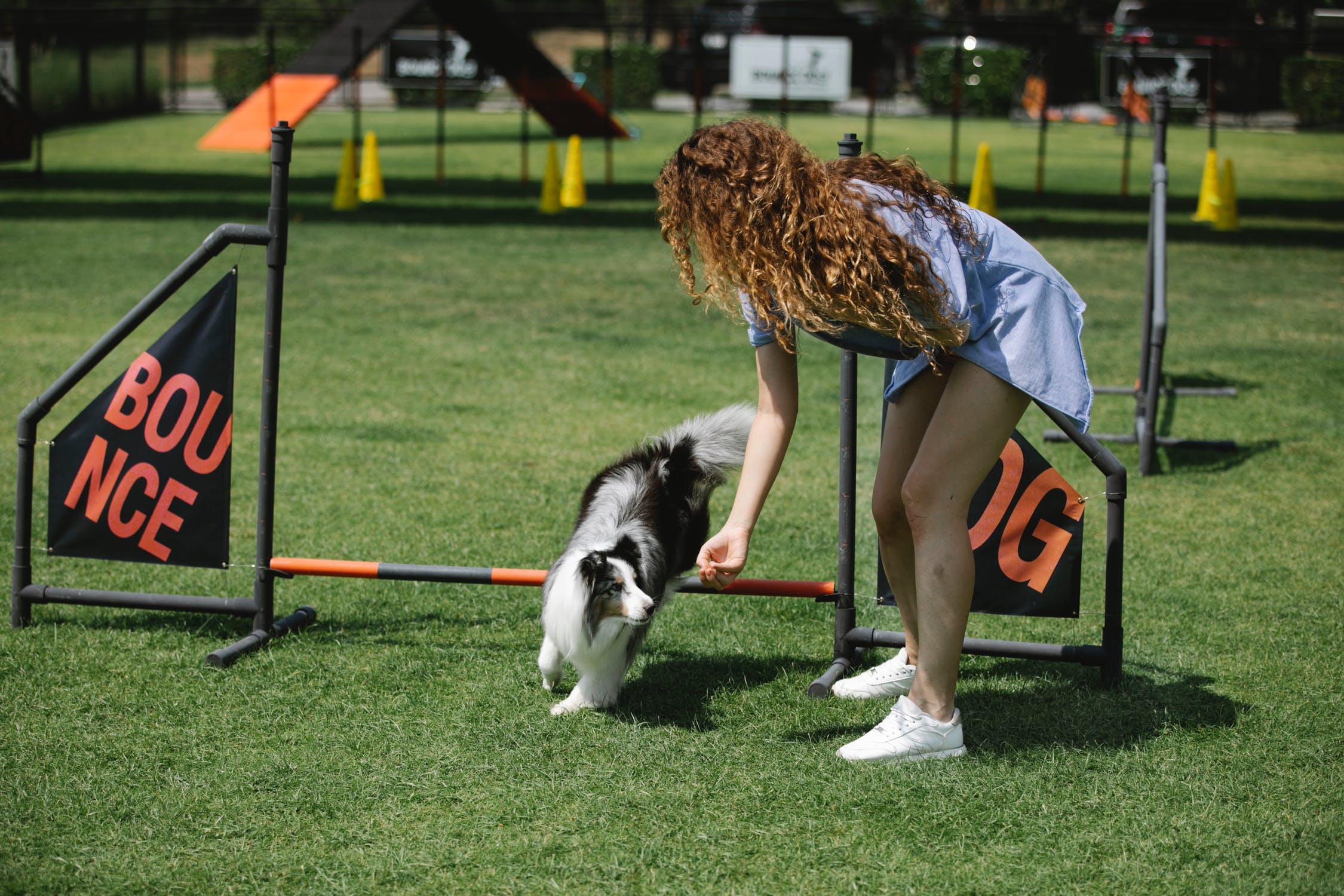 Girl and Australian Shepherd on agility course