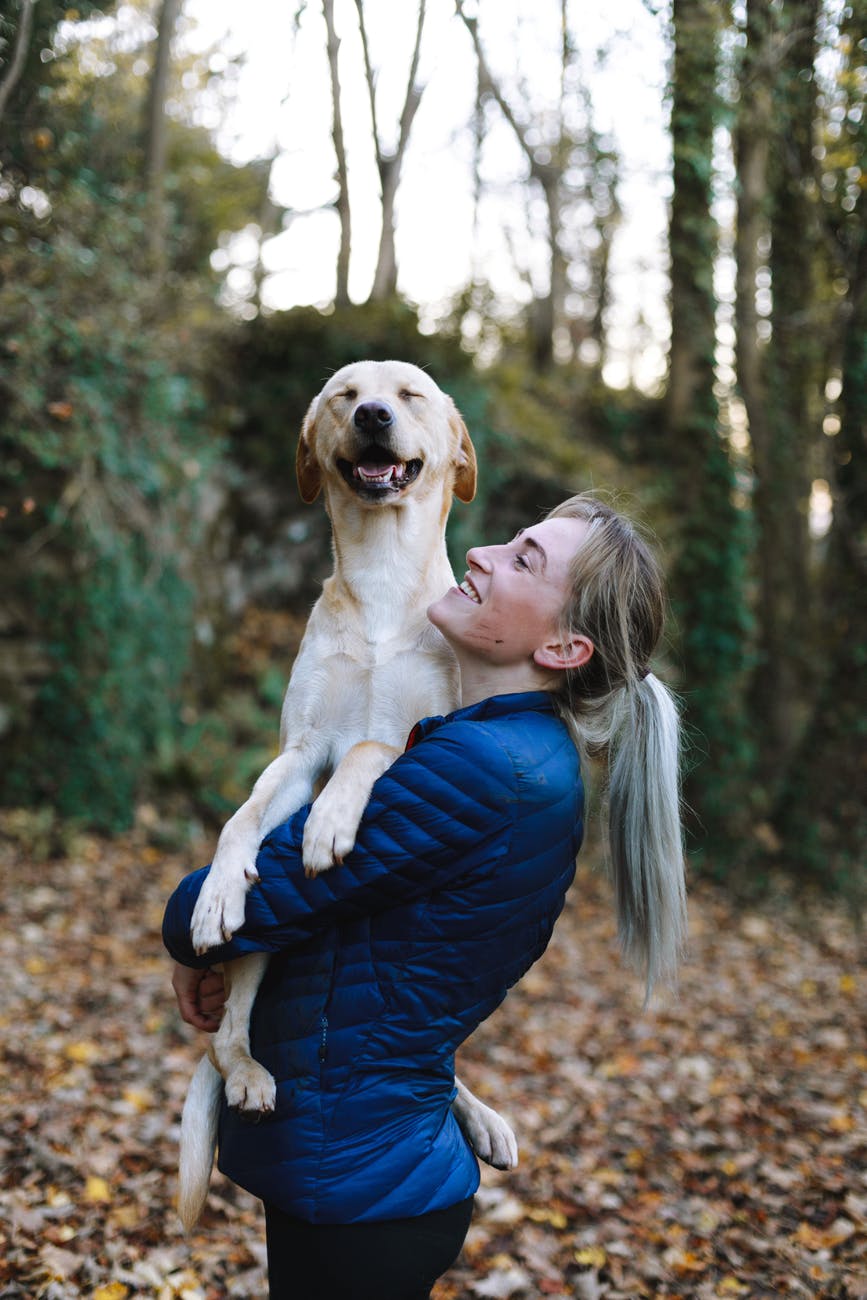 Woman carrying Labrador Retriever