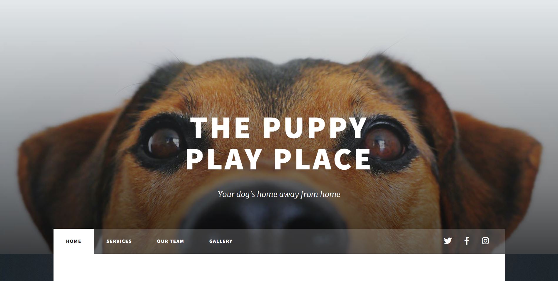 Screenshot of dog daycare website